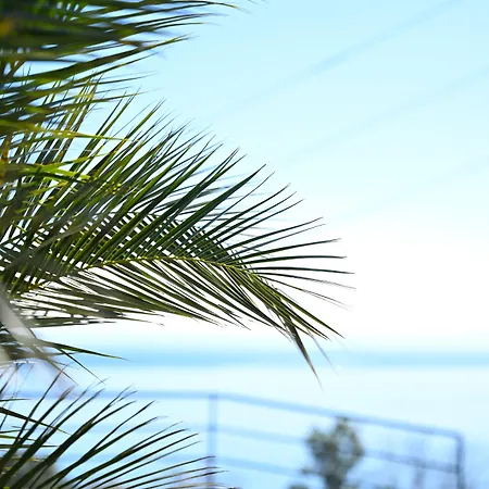 Petra Nera Skiathos, Philian & Aparthotel Skiathos Town