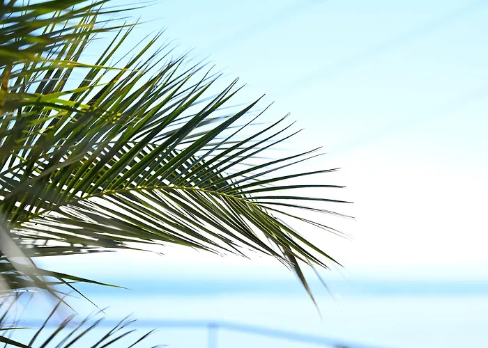 Petra Nera Skiathos, Philian & Apart Otel İskados